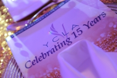 2015 Souvenir Program
